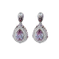 Elegant Drops Earrings
