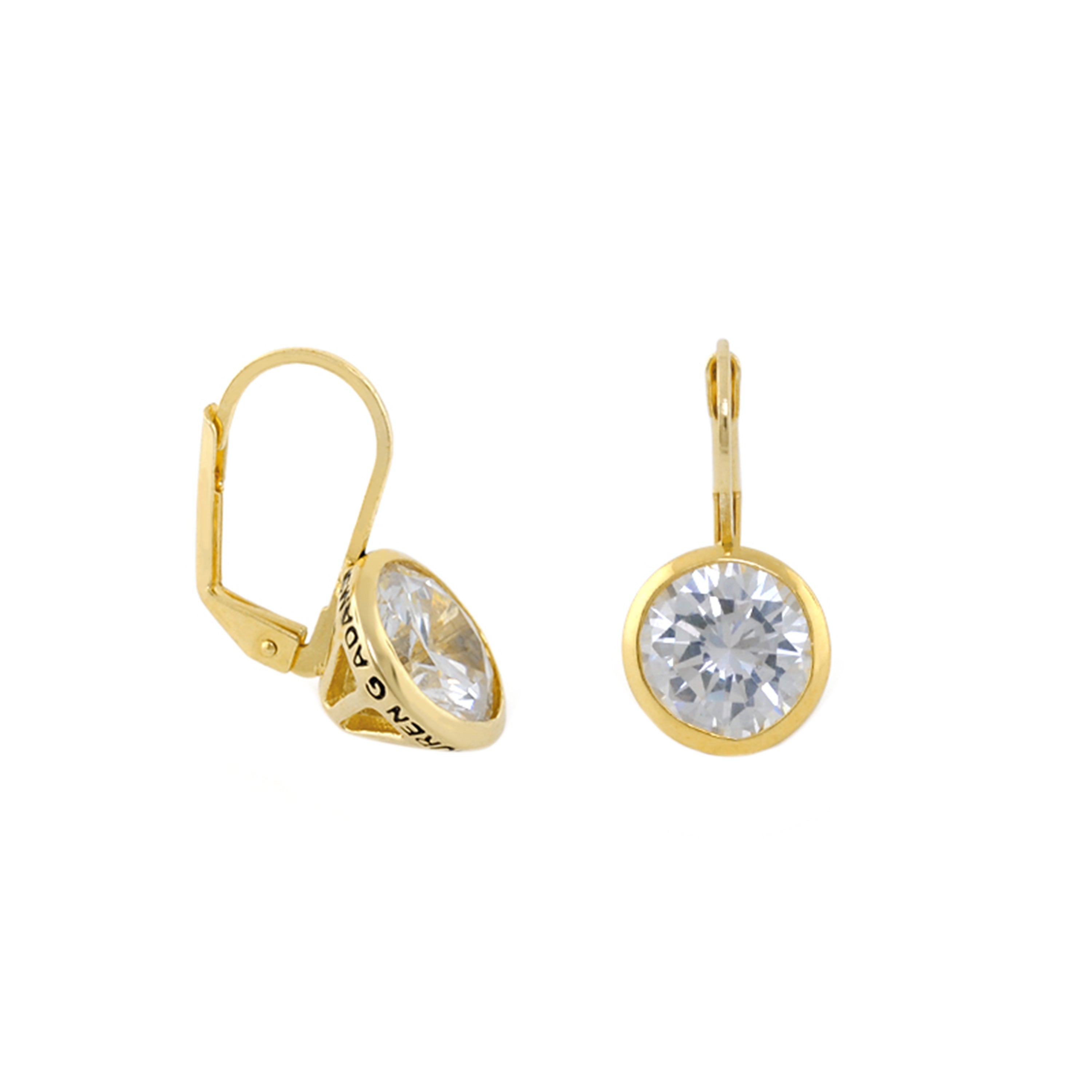 Dazzling Drop Earrings