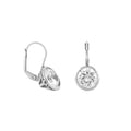 Dazzling Drop Earrings