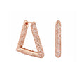 Shimmer and Glimmer  Earrings