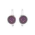 February Birthstone Color Earrings