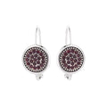 January Birthstone Color Earrings