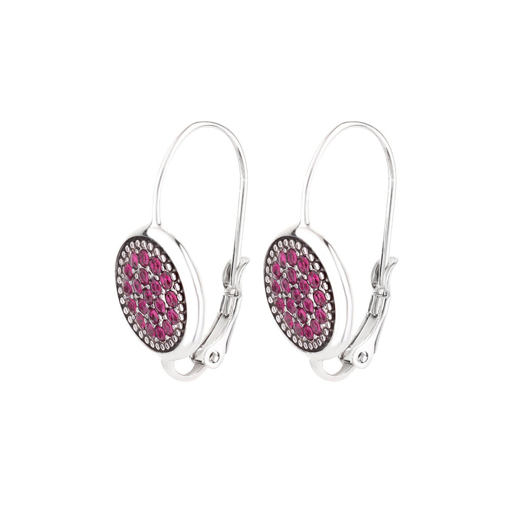 Lever Back Birthstone Color Earrings