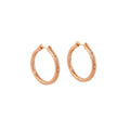 Socialite Earring