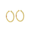 Socialite  Earring