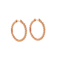 Socialite  Earring