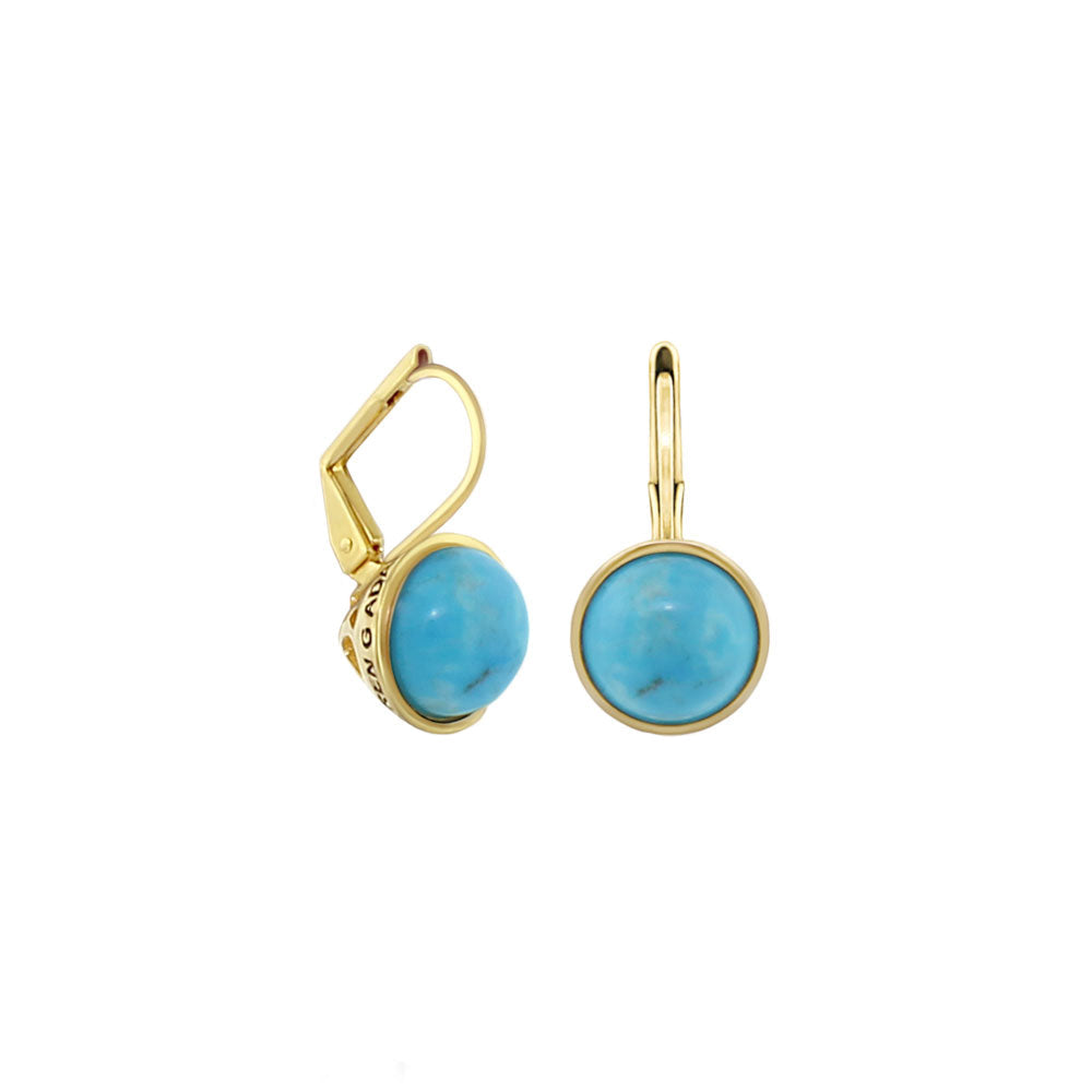 The Golden Favorites Earrings