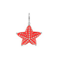 Eau Starfish Pendant