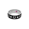 Horseshoe Equestrian Ring