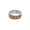 Horseshoe Equestrian Ring