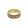 Horseshoe Equestrian Ring