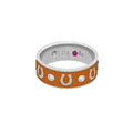 Horseshoe Equestrian Ring