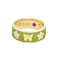 Butterfly World Band
