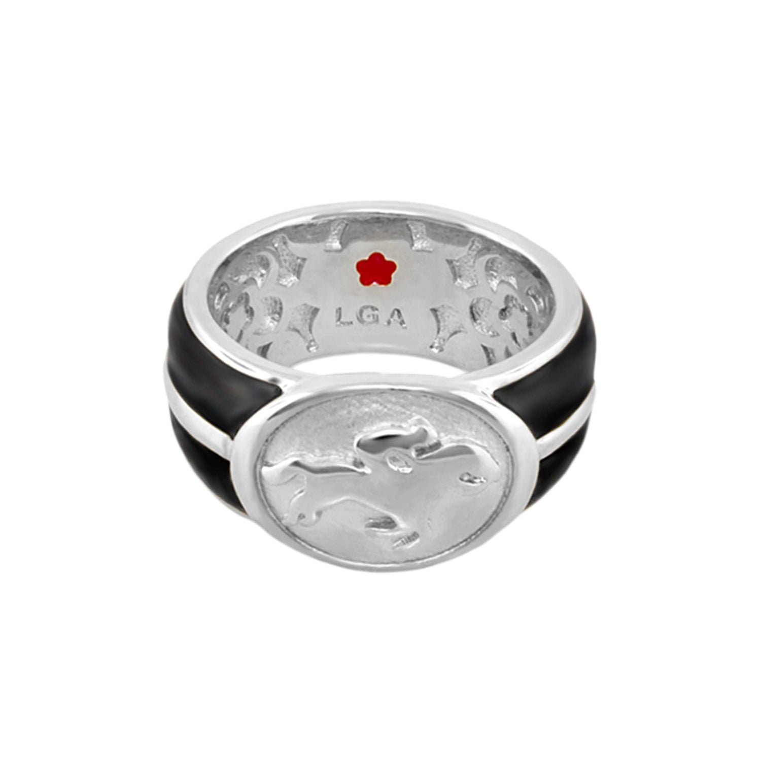 Equestrian Ring