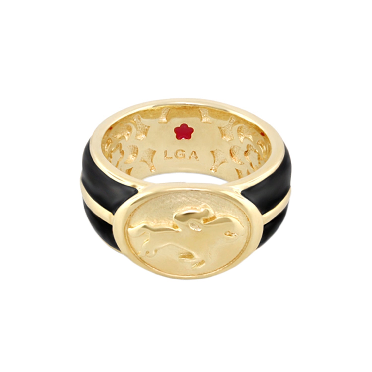 Equestrian Ring