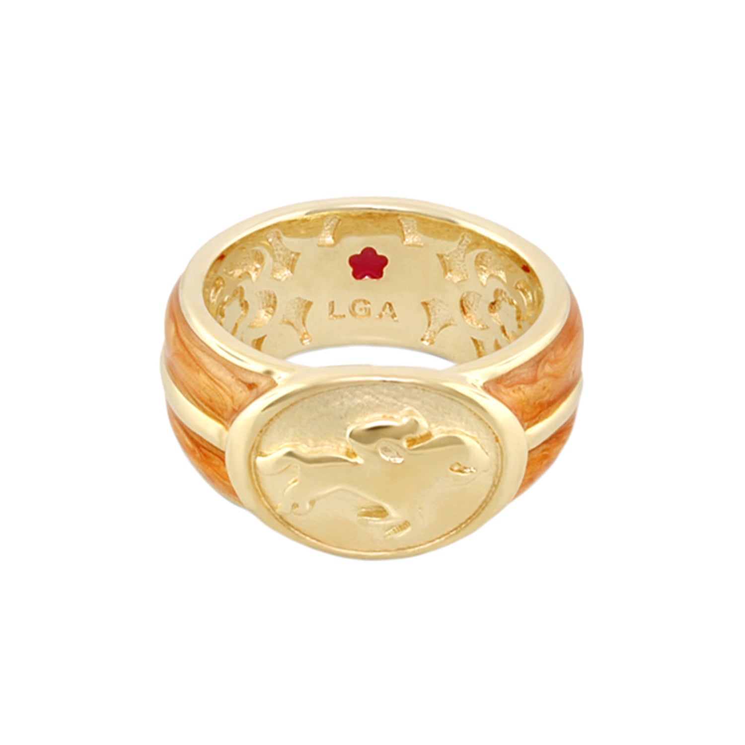 Equestrian Ring