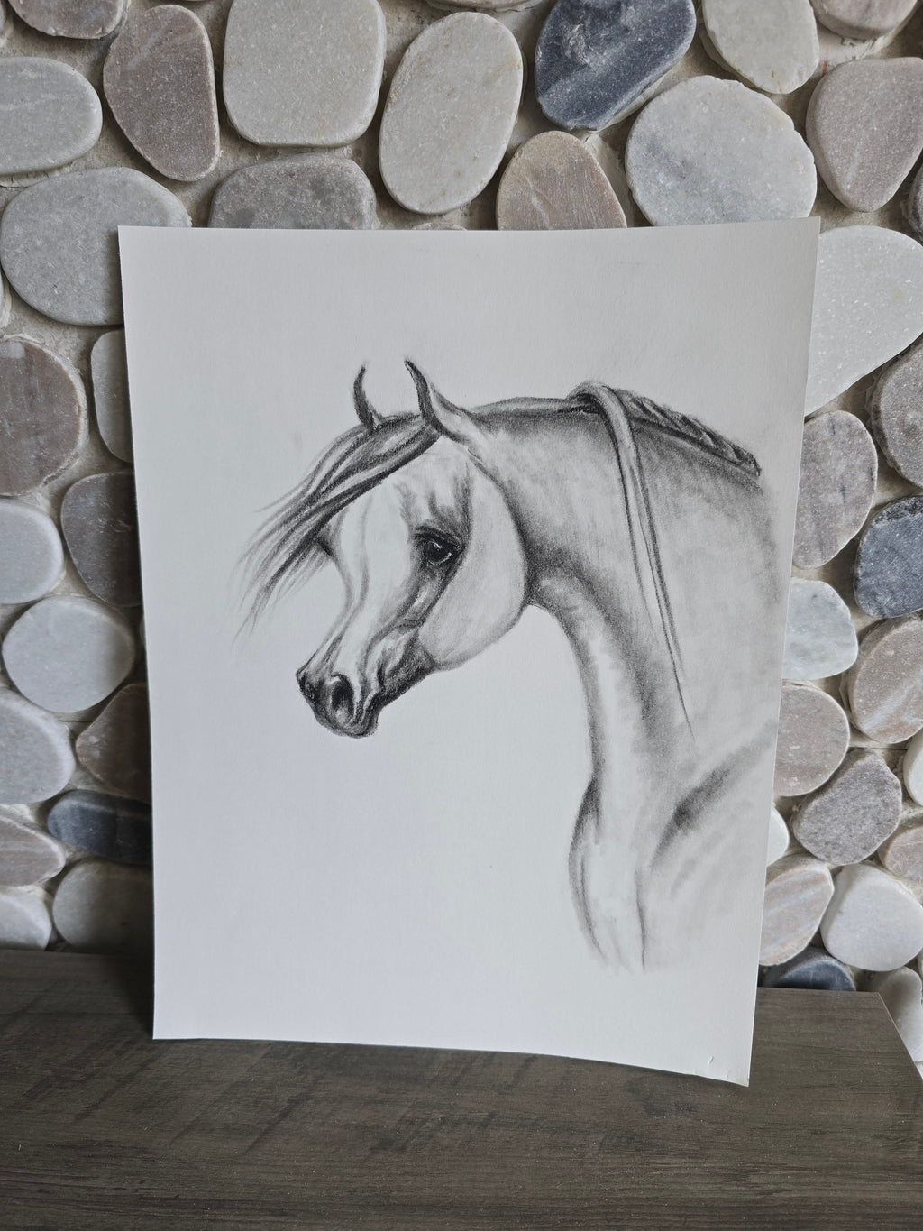 Elegance in Graphite — Original Arabian Horse Pencil Drawing