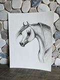 Elegance in Graphite — Original Arabian Horse Pencil Drawing