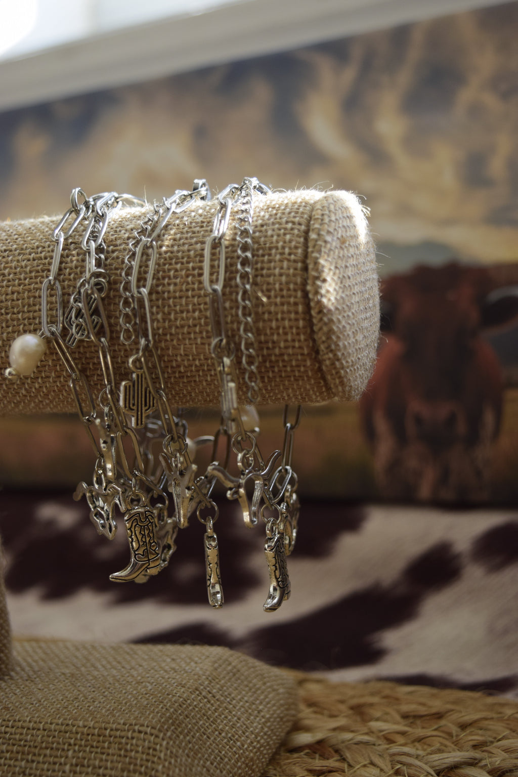 Out West Charm Bracelet Cowgirl Jewelry Stainless Steel 3 Charms