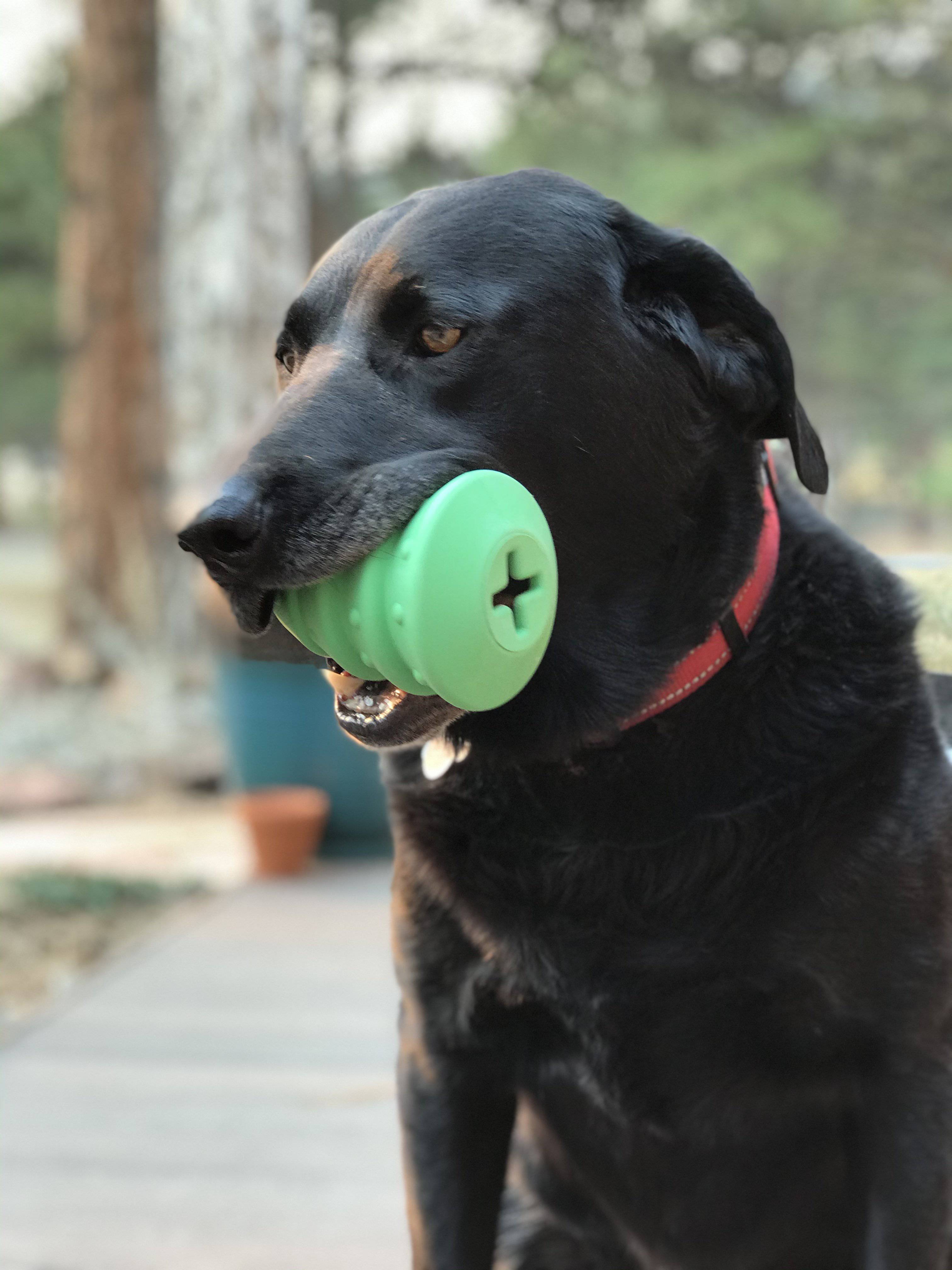 Christmas Tree EDispenser Rubber Chew Toy For Large Dogs Model EDispenser