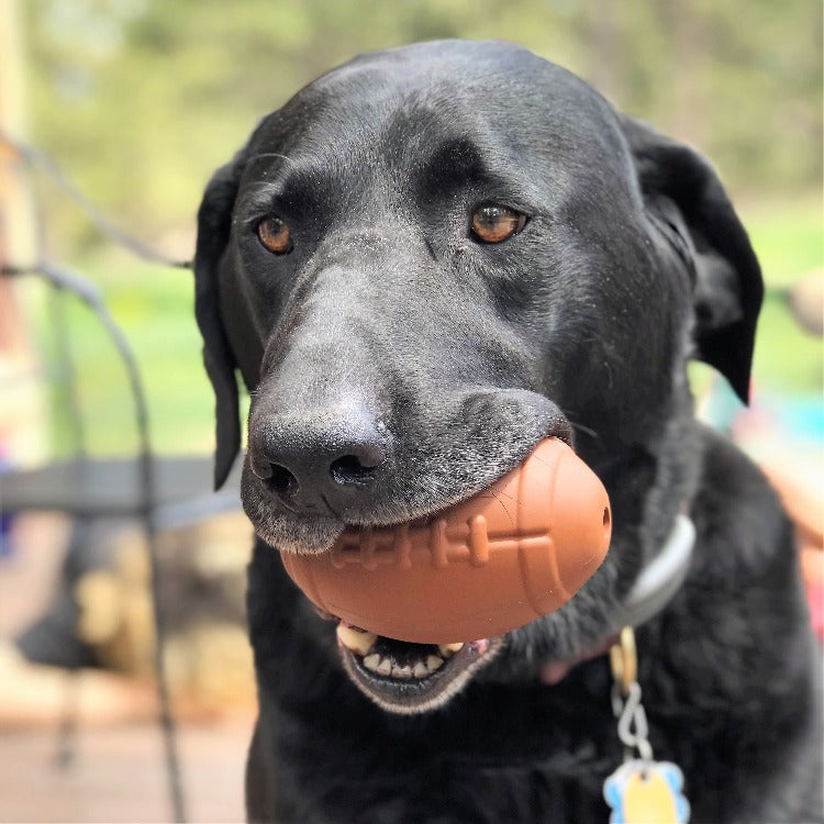 SodaPup Football Dog Chew Toy And Treat Dispenser USA Made