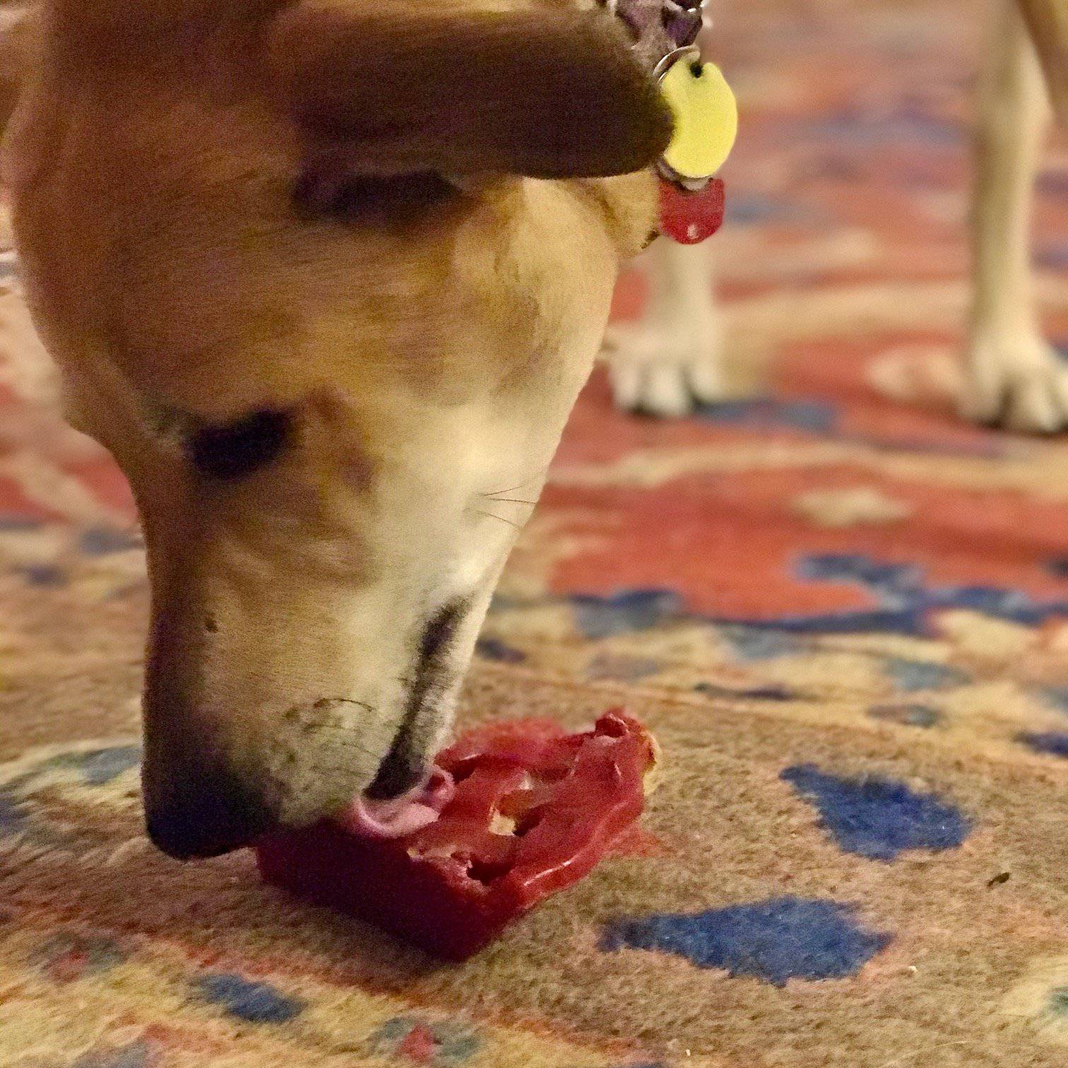 SodaPup Cherry Pie eChew Nylon Dog Chew Toy for Aggressive Chewers
