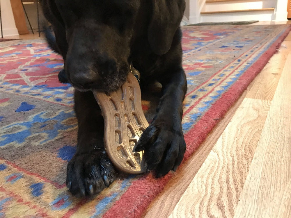 SodaPup Peanut eChew Nylon Dog Chew Toy Durable For Aggressive Chewers