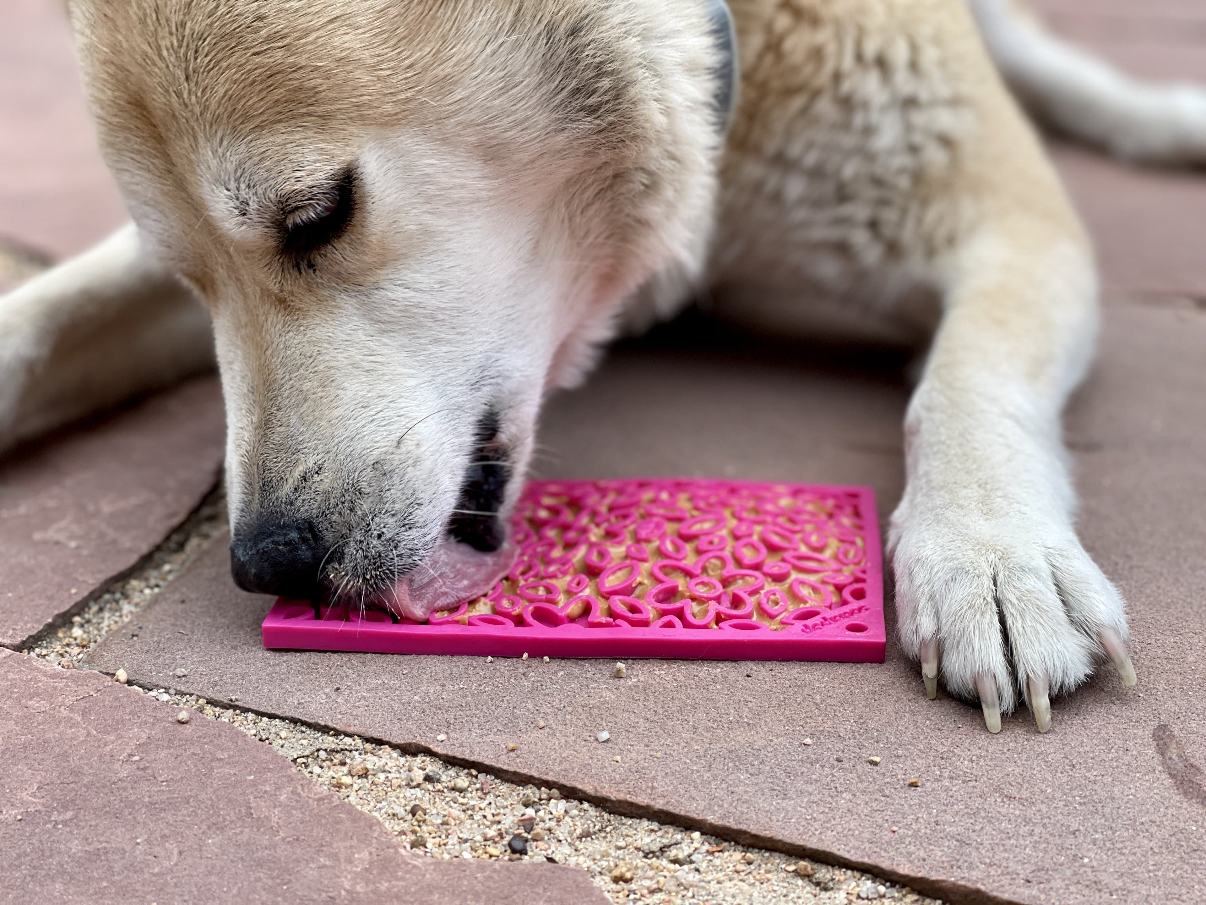 SodaPup Flower Power eMat Enrichment Lick Mat for Dogs and Cats