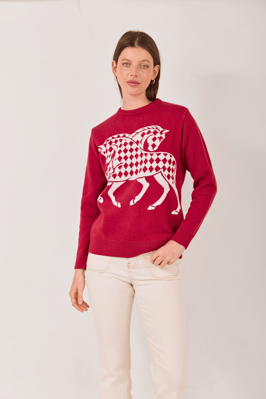 The Harlequin Horses Sweater