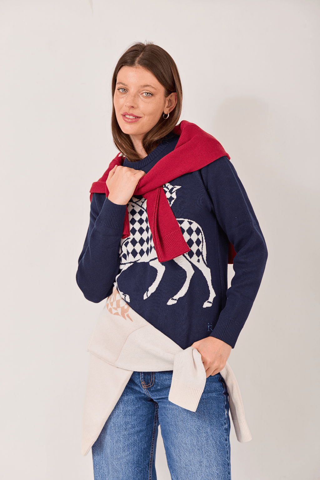 The Harlequin Horses Sweater