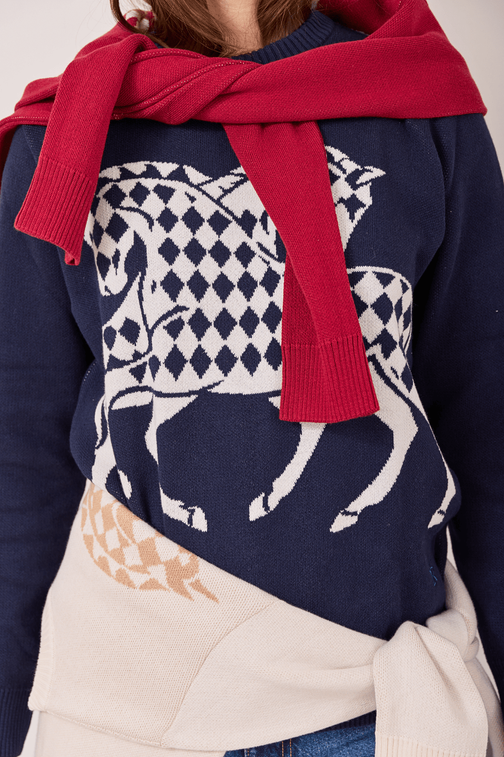 The Harlequin Horses Sweater