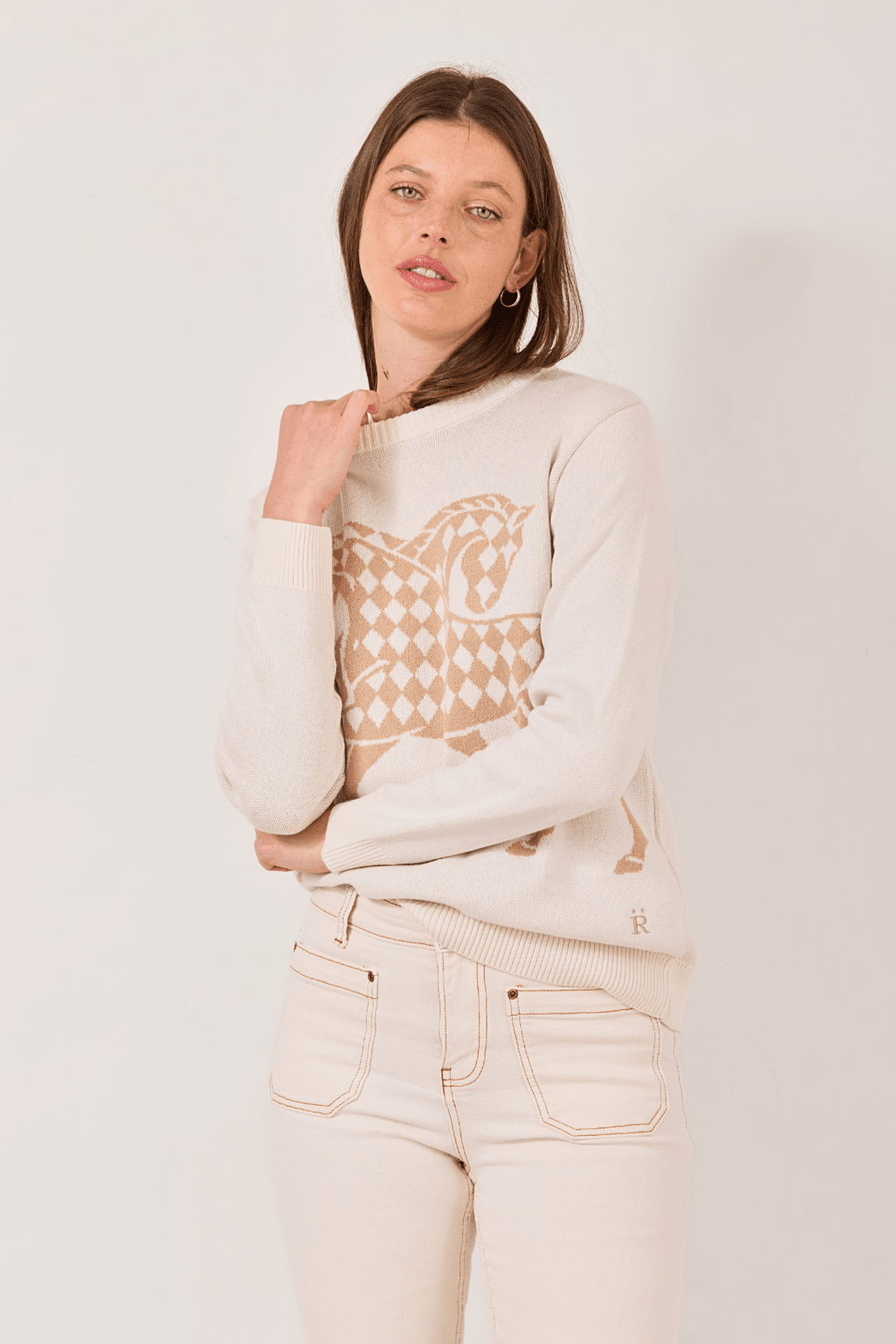 The Harlequin Horses Sweater